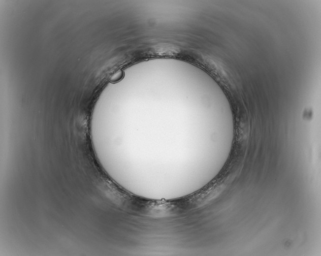 X0000090780321200708101839