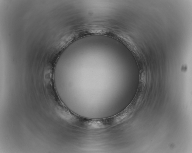 X0000090780322200708101839