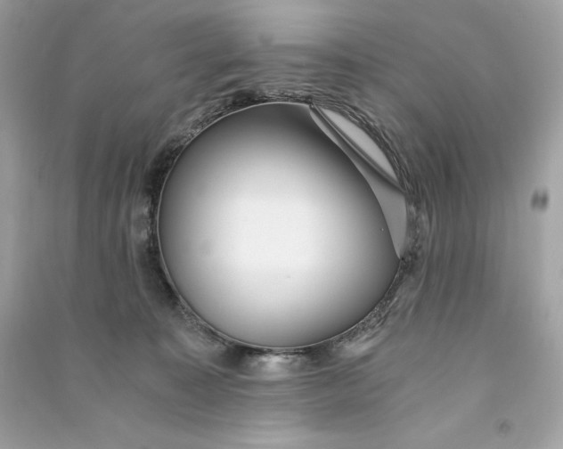 X0000090780323200708101839