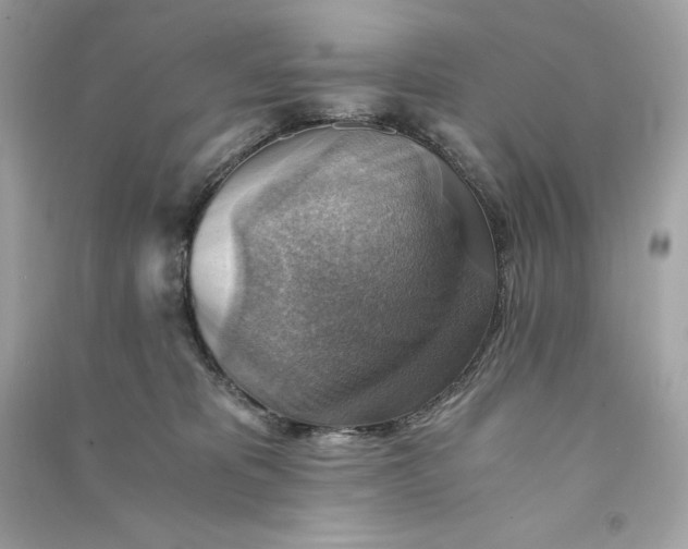 X0000090780325200708101839