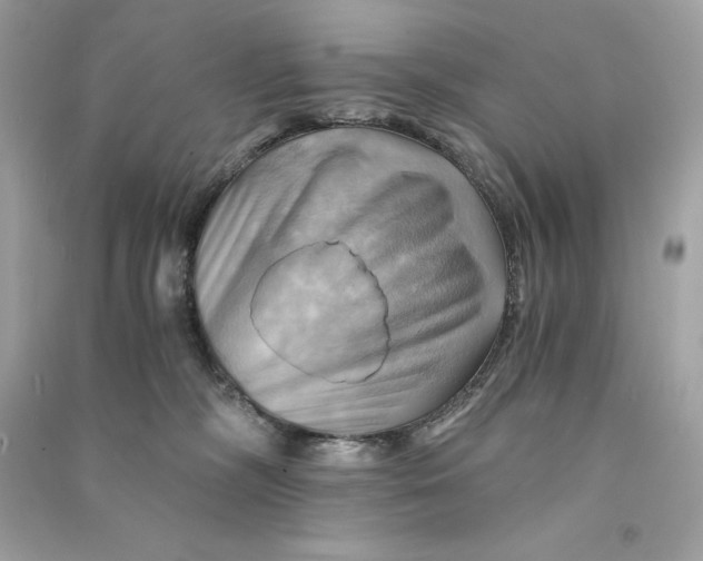 X0000090780326200708101839