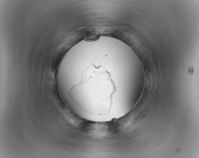 X0000090780327200708101839