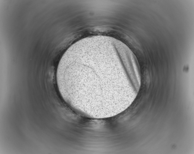 X0000090780328200708101839