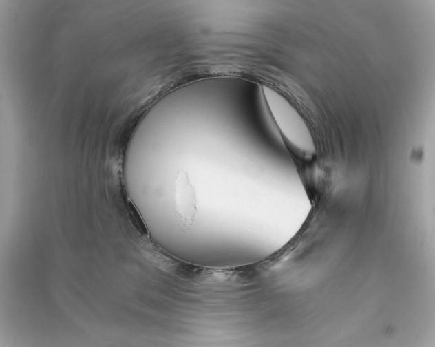 X0000090780329200708101839