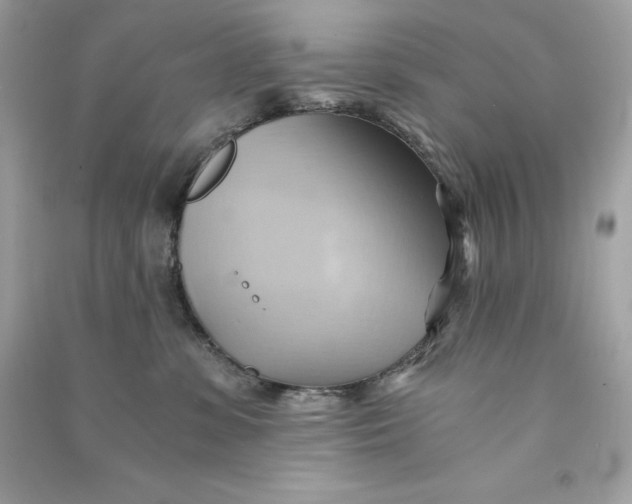 X0000090780331200708101839