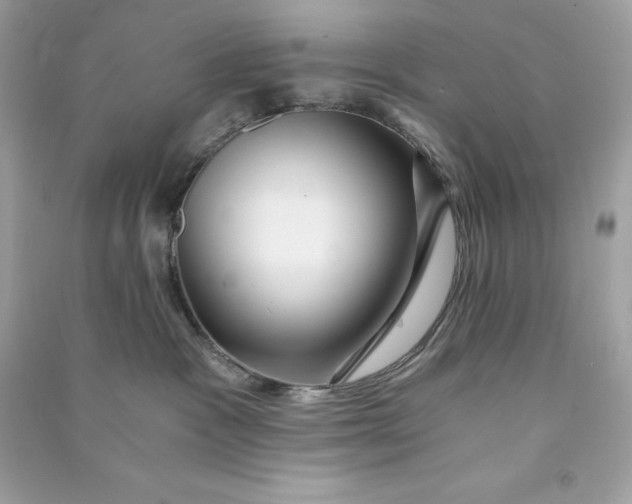 X0000090780333200708101839
