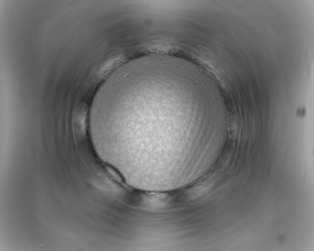 X0000090780334200708101838