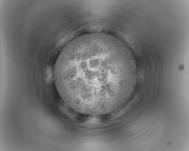 X0000090780335200708101838