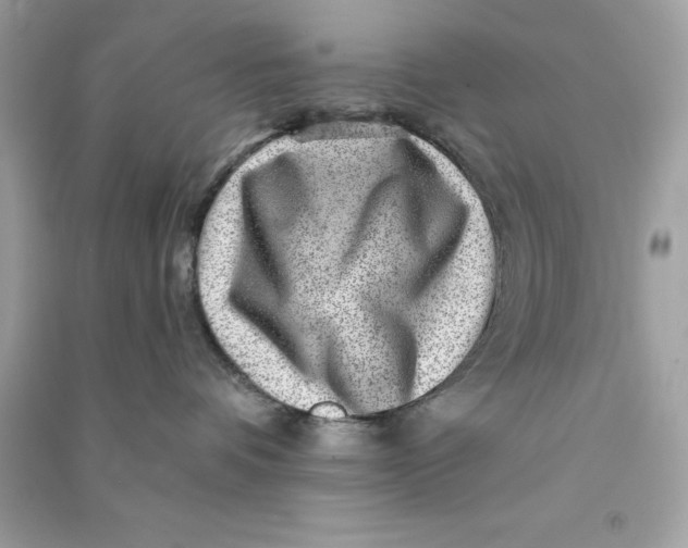X0000090780336200708101838
