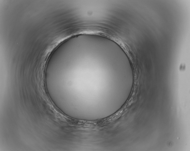 X0000090780337200708101838