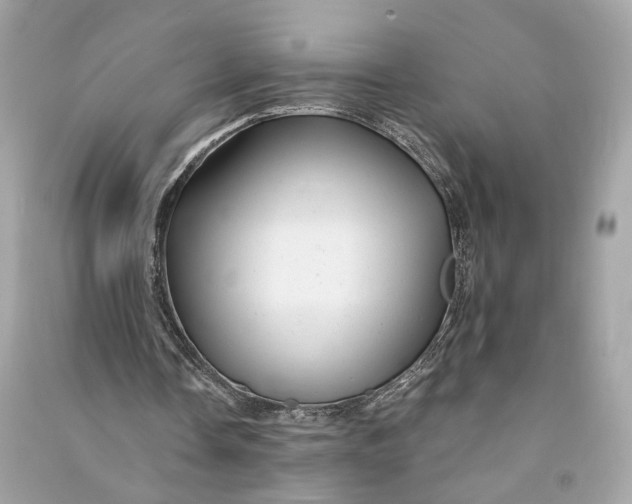 X0000090780338200708101838