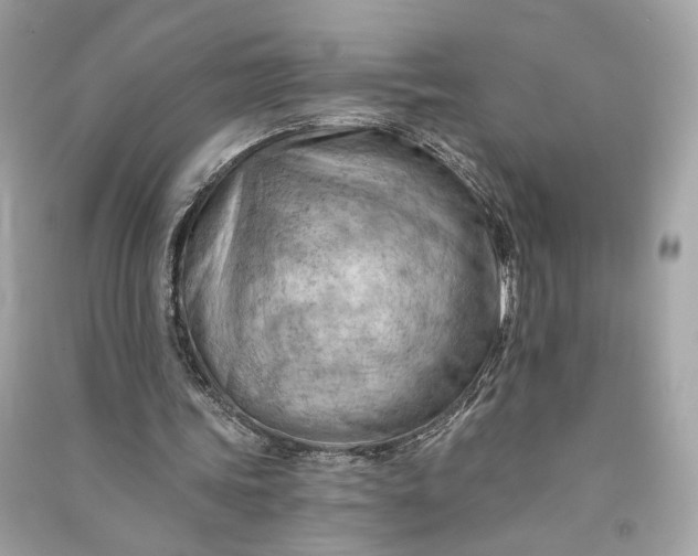 X0000090780339200708101838
