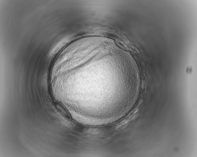 X0000090780341200708101838