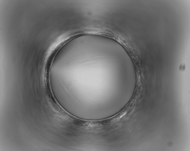 X0000090780343200708101838