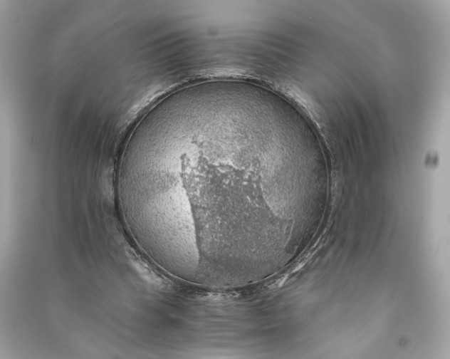 X0000090780345200708101838