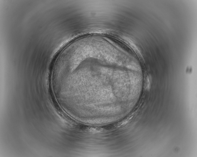 X0000090780346200708101838