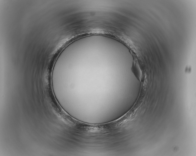 X0000090780347200708101838