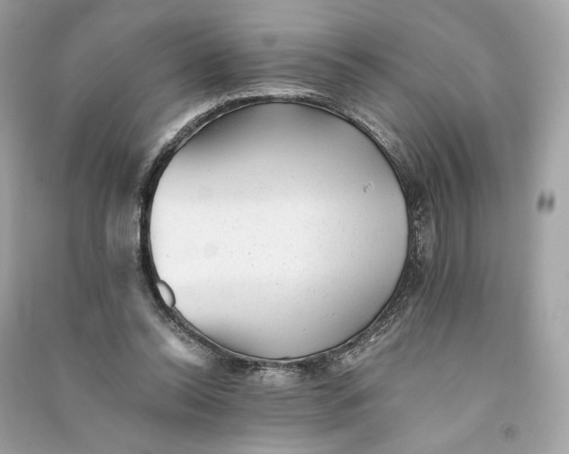 X0000090780350200708101838