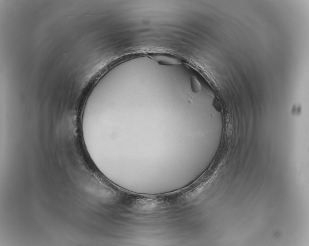 X0000090780351200708101838