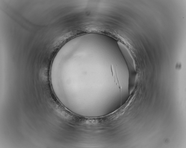 X0000090780353200708101838