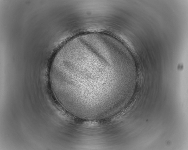 X0000090780354200708101838