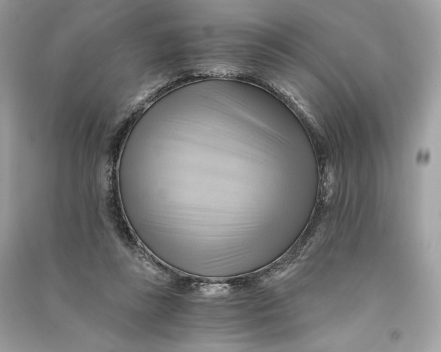 X0000090780355200708101838