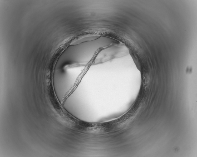 X0000090780356200708101838