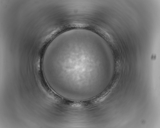 X0000090780358200708101838