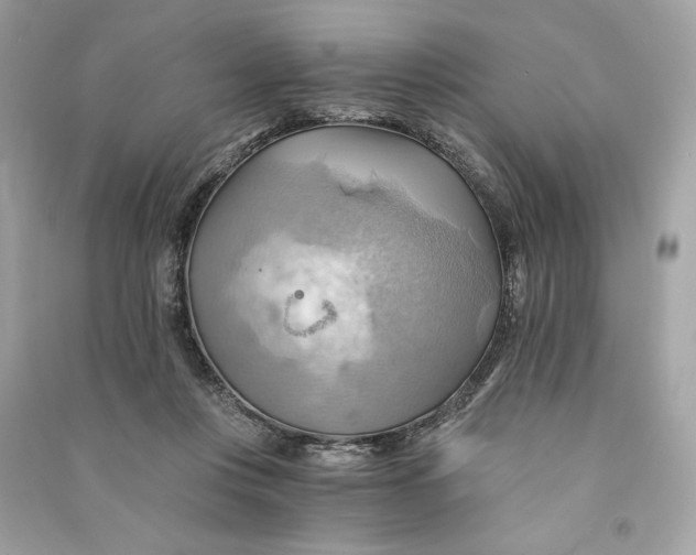 X0000090780359200708101838