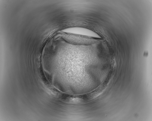 X0000090780360200708101838