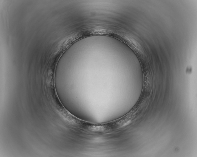 X0000090780361200708101838