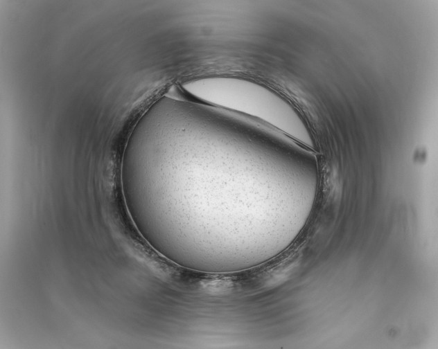X0000090780362200708101838