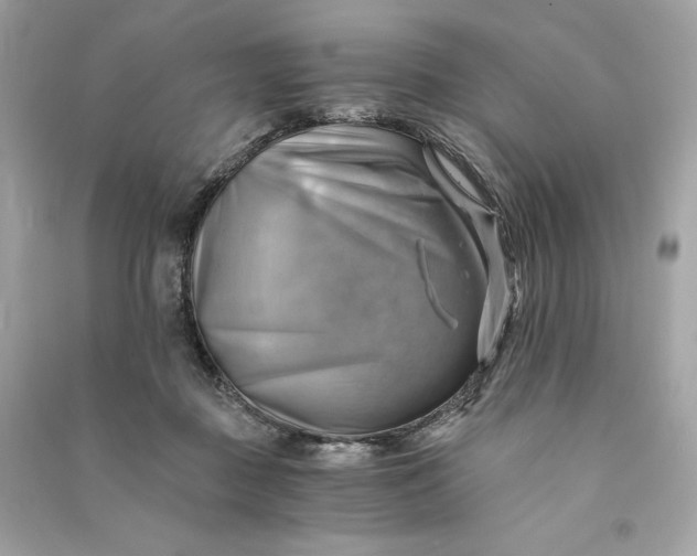 X0000090780363200708101838
