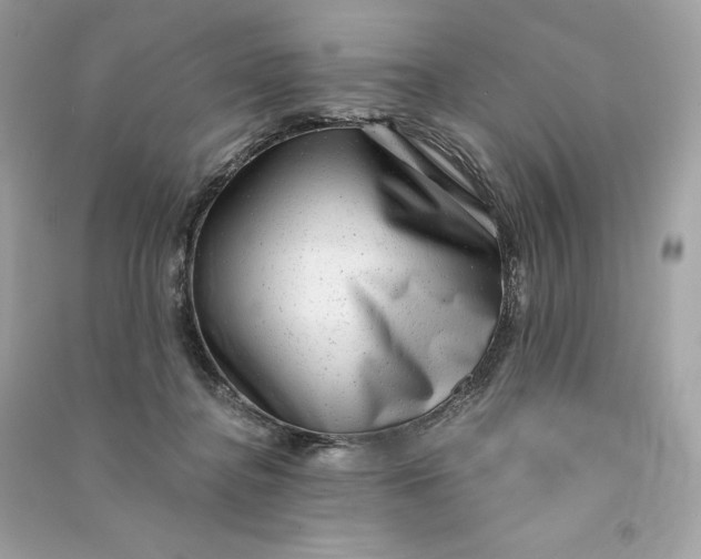 X0000090780364200708101838