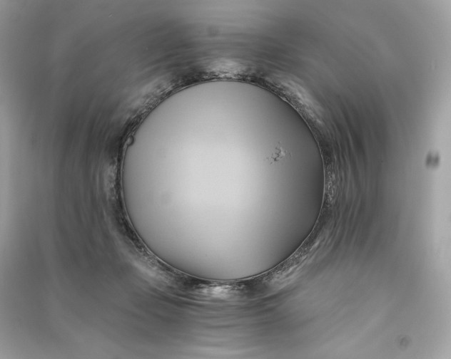 X0000090780365200708101838