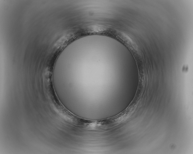 X0000090780366200708101838