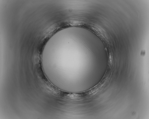 X0000090780367200708101838