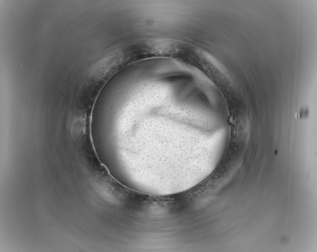 X0000090780368200708101838