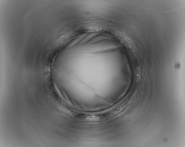 X0000090780369200708101838