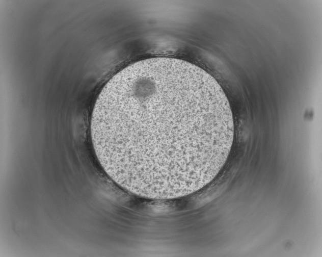 X0000090780370200708101838