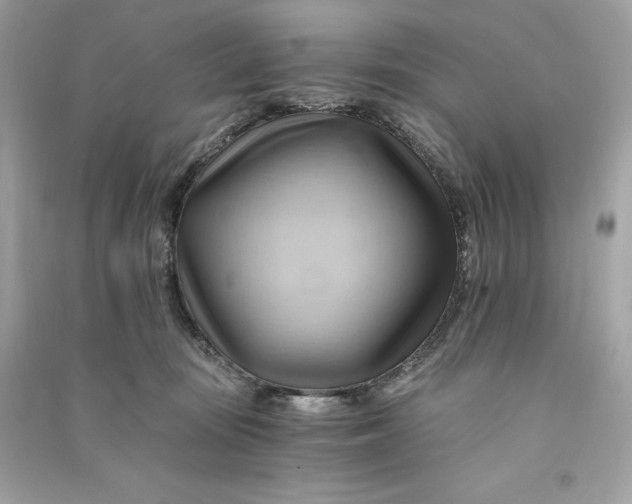 X0000090780371200708101838