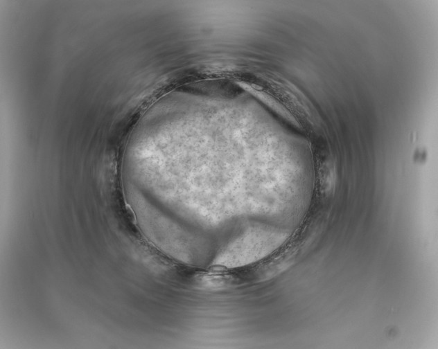 X0000090780372200708101838
