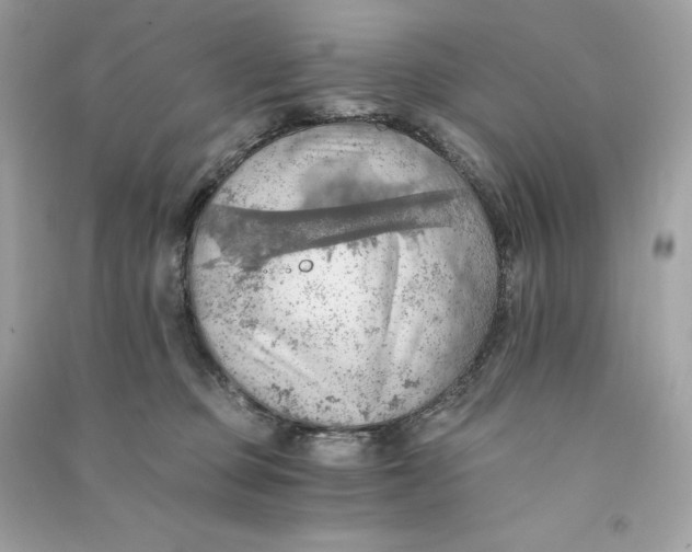 X0000090780373200708101838