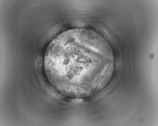 X0000090780374200708101838