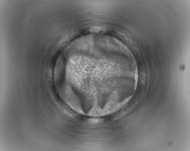 X0000090780375200708101838