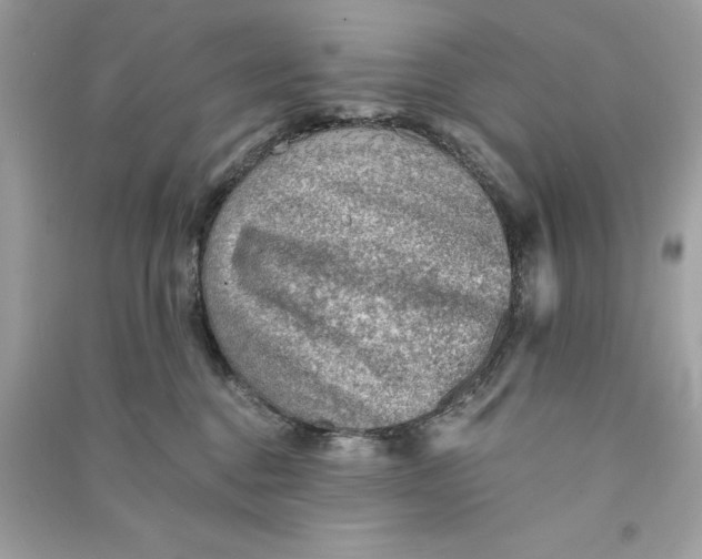 X0000090780376200708101838