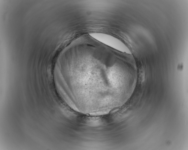 X0000090780377200708101838