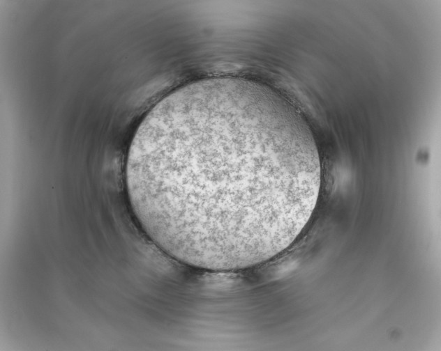 X0000090780378200708101838