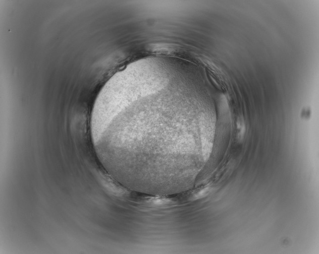 X0000090780379200708101838