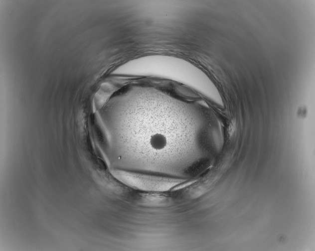 X0000090780380200708101838